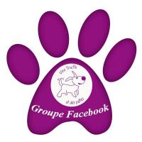 Groupe facebook