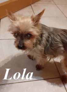 Lola avatar