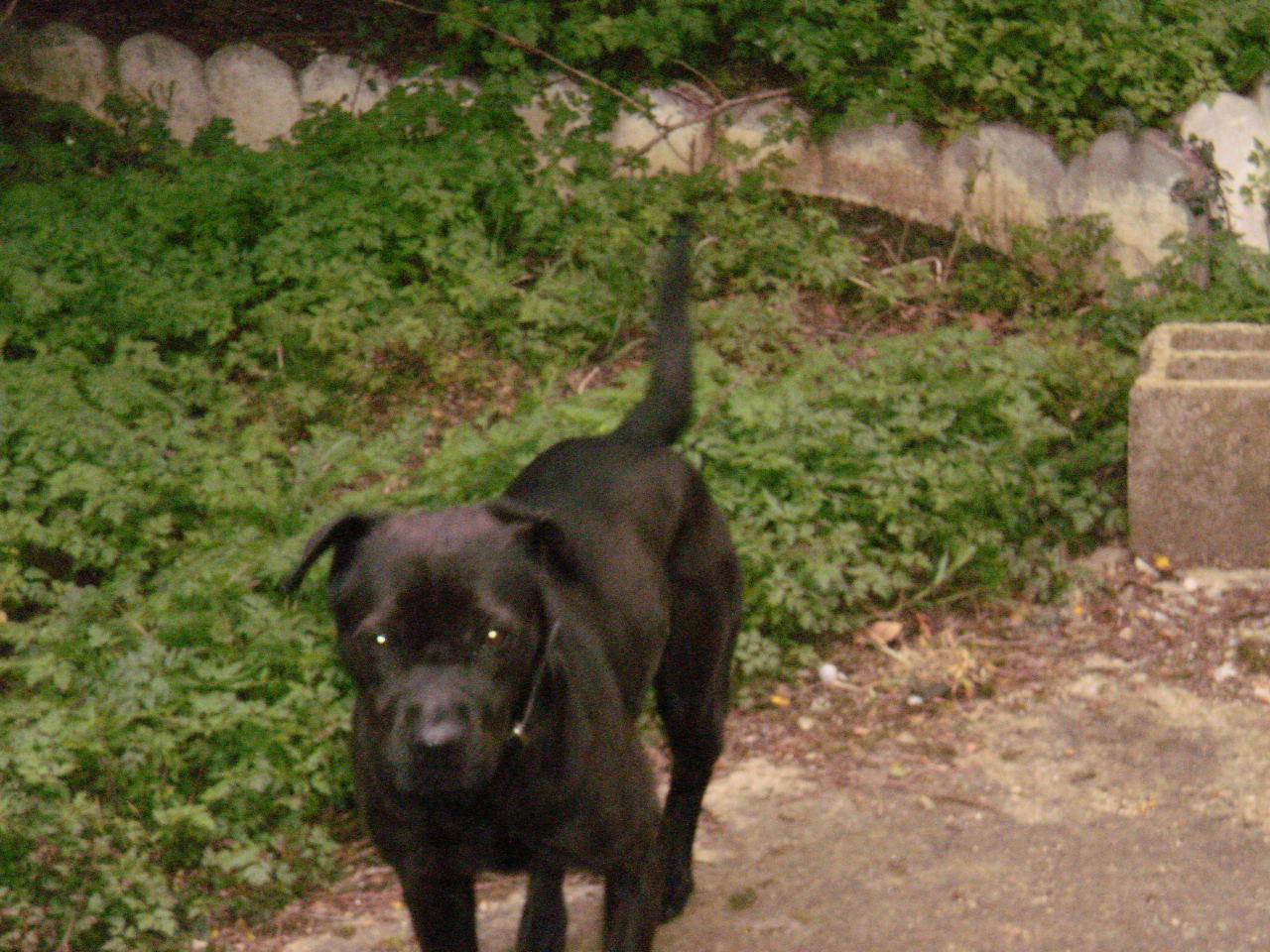 Lenny