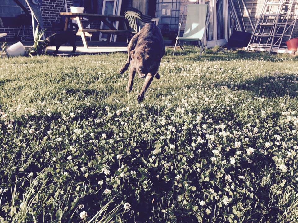 Lily