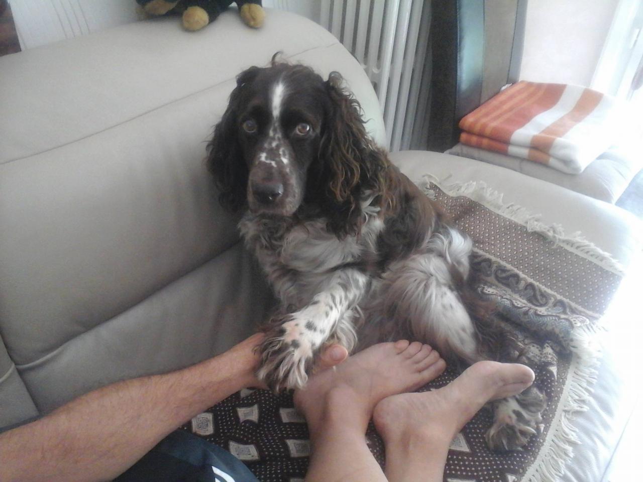 Pepite
