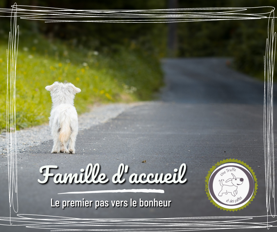 Fa une truffe et des pattes